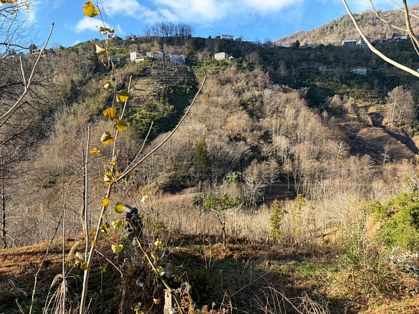 Эксклюзив в Хала